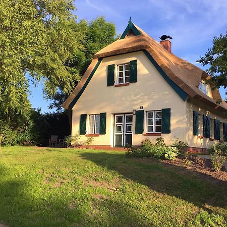 Ferienhaus Preetz 1A - Idylle Unter Reet Burtevitz ภายนอก รูปภาพ