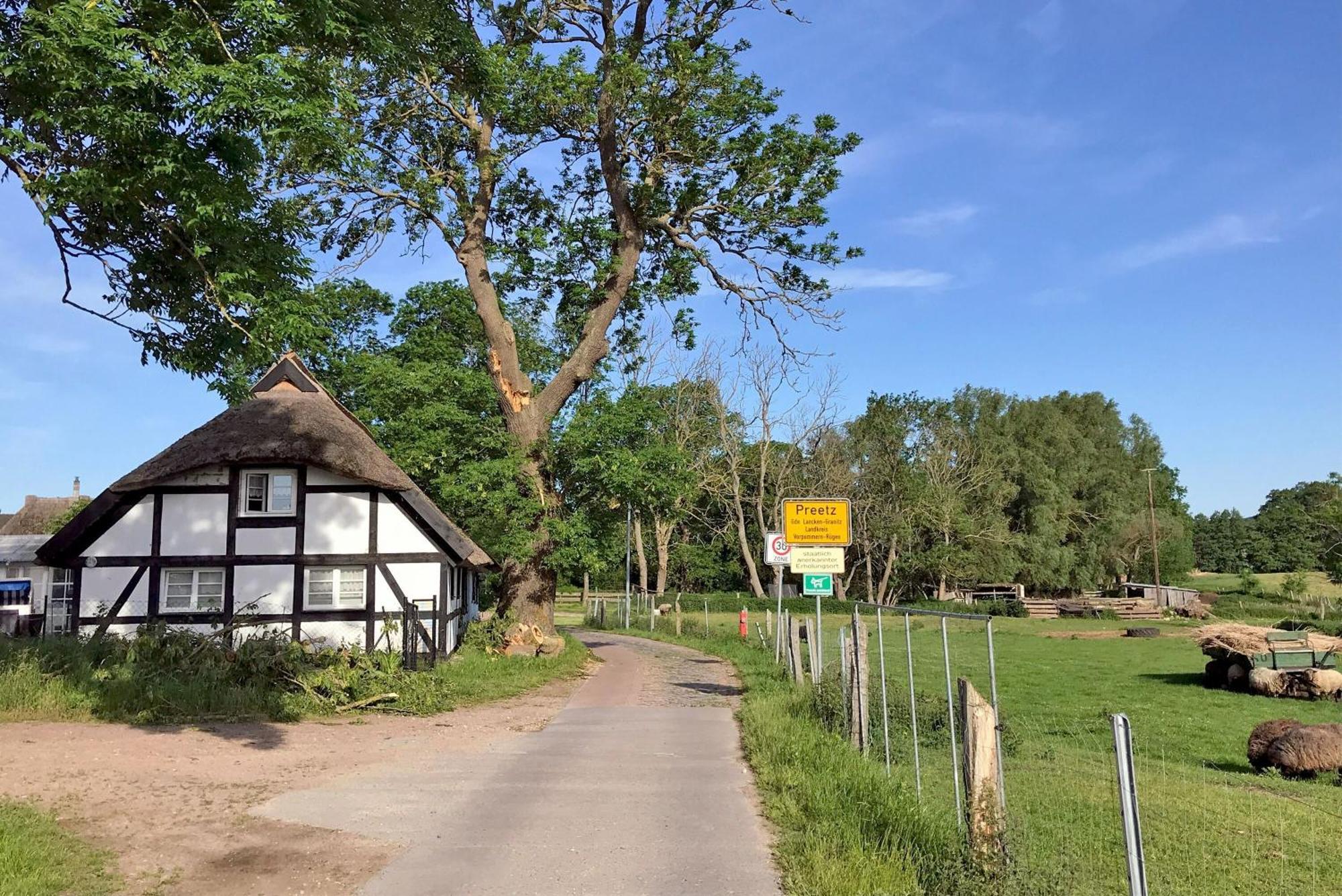 Ferienhaus Preetz 1A - Idylle Unter Reet Burtevitz ภายนอก รูปภาพ